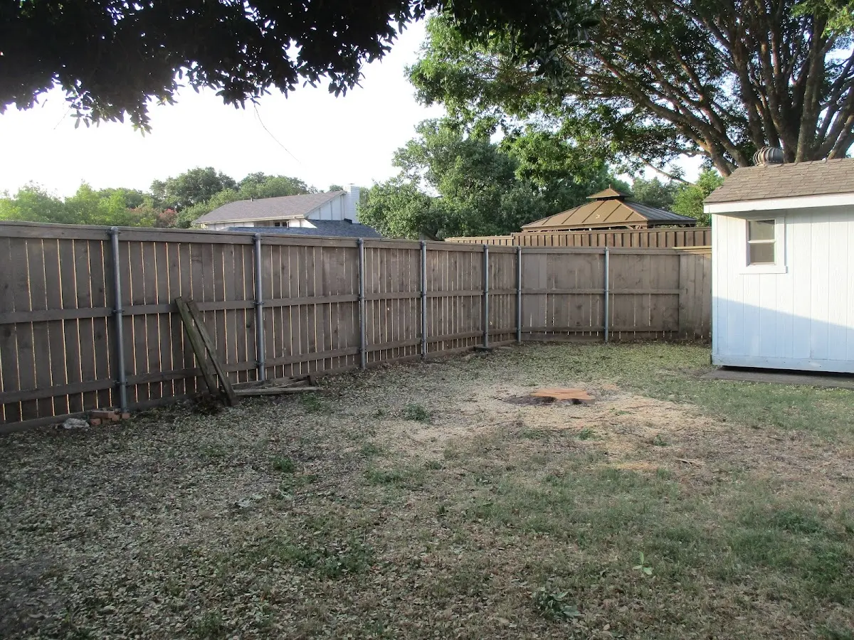 Cleared yard after professional tree removal in Munday